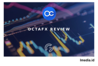 Perbedaan Octa Investama dan OctaFX